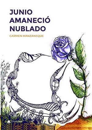 JUNIO AMANECIÓ NUBLADO